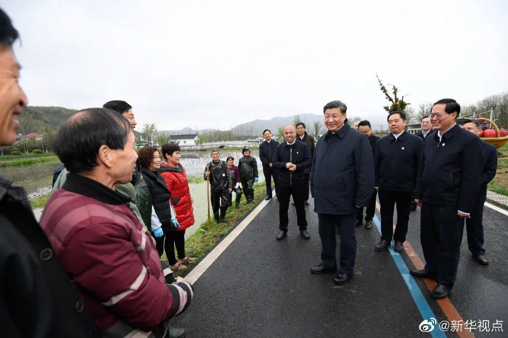 杨志山村委会最新动态报道